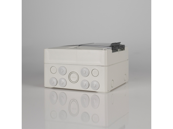 RAC33_1.jpg